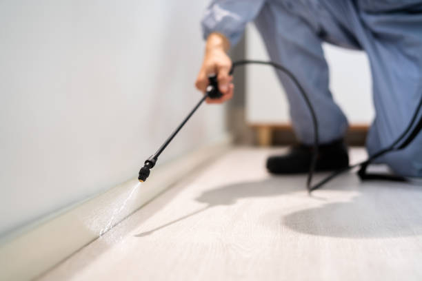 Licensed Pest Control service in Warrington, FL - Show Me Pest Control