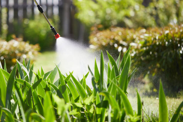 24/7 Emergency Ant Control experts in Warrington, FL